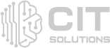 cit_gris CIT Solutions Logo